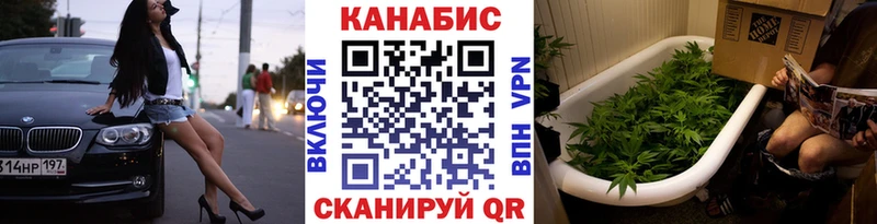 Бошки Шишки семена  купить наркотики сайты  Александровское 